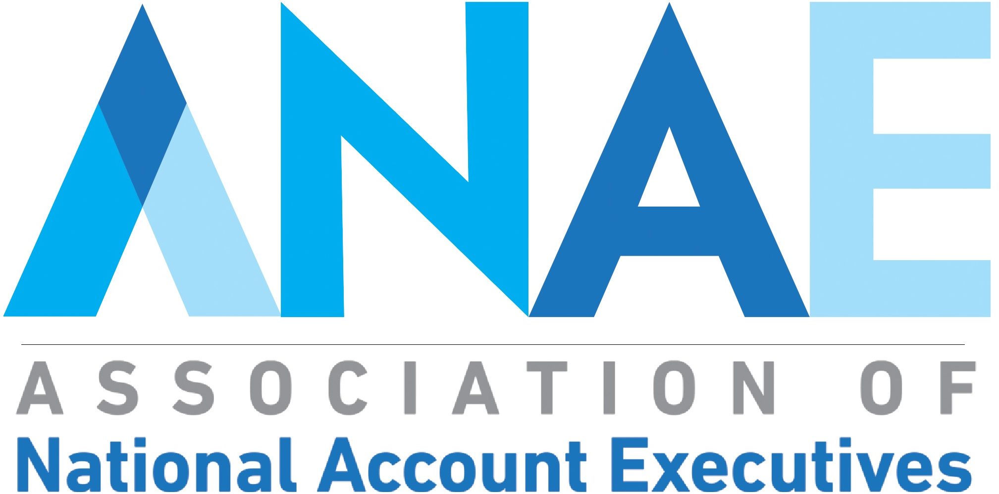 Association of National Account Executives